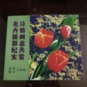 花卉摄影纪实 诗情画意共赏