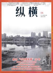 2014•《纵横》杂志•第06期•总第294期