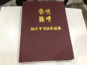 《墨晚缘晴》杨正平书法作品集作者签名本