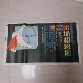 一开电影海报雷场相思树