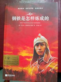 钢铁是怎样炼成的