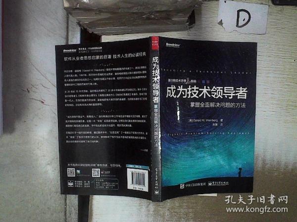 成为技术领导者：掌握全面解决问题的方法