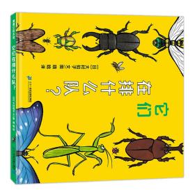 它们在排什么队帮助孩子认识50种昆虫的样貌3-6岁蒲蒲兰绘本