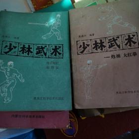 少林武术〈（炮捶，大红拳）（连手短打，达磨杖）两册合售〉