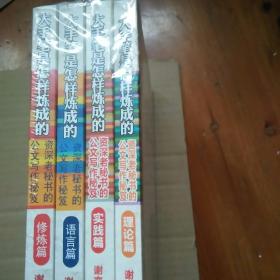 大手笔是怎样炼成的：修炼篇  语言篇 实践篇 理论篇  四本合售  塑封未拆