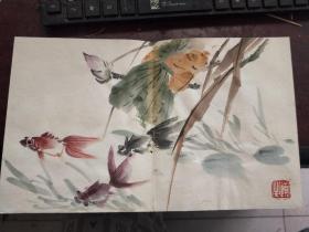 汪慎生 老画家 册页  小作品