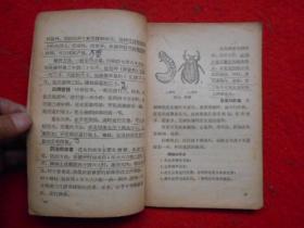 高级小学试用课本 农业常识(第四册)