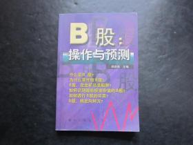 股票类：B股：操作与预测