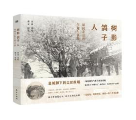 树影 鸽子 人：胡同北京的生趣与乡愁