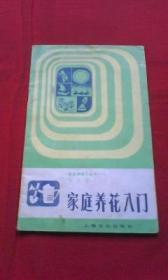 家庭养花入门