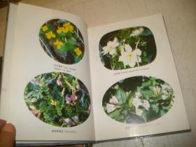 山东花卉志（上下）（印1000册）