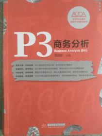 P3 商务分析