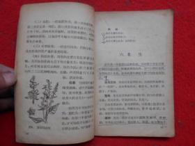 高级小学试用课本 农业常识(第四册)