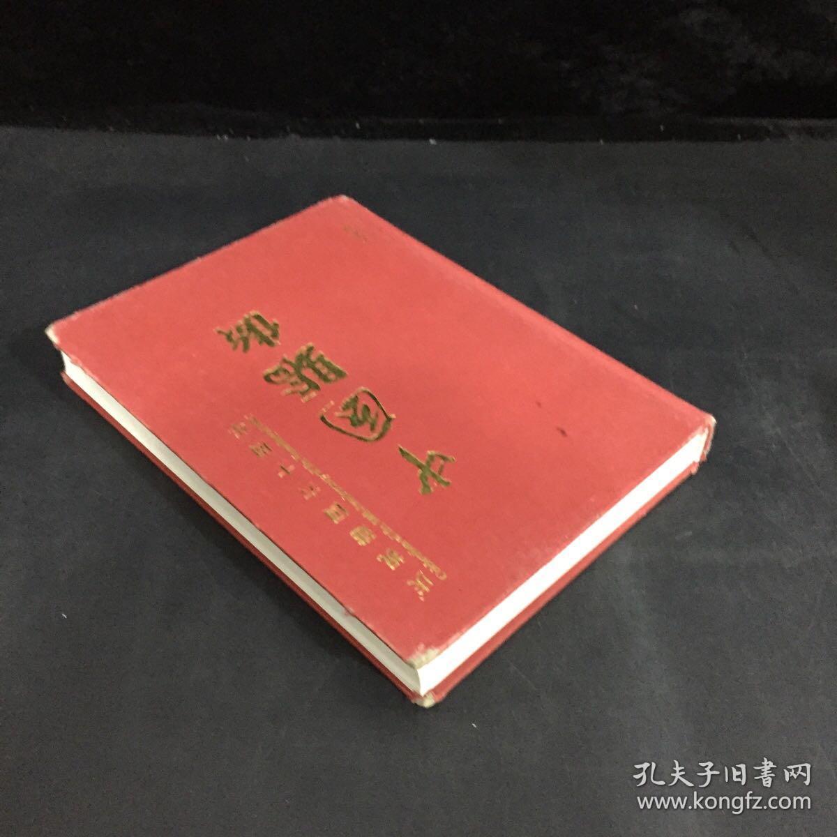 庆祝建国六十周年——中国骄傲  艺术刊  （封皮破损）