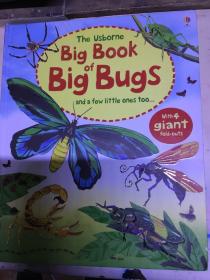 BigBookOfBigBugs