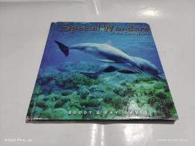 SPECIAI WONDERS OF THE SEA WORID    精装