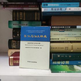 英漢石油大詞典，油井開發(fā)與開采分冊