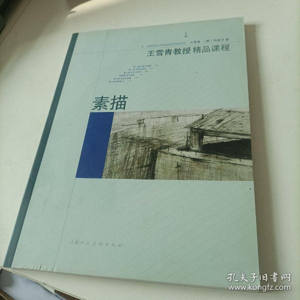 王雪青教授精品课程1：素描