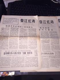 婺江红涛