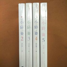 小娇妻2-5