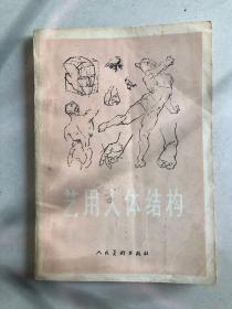 艺用人体结构