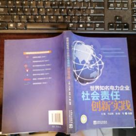 世界知名电力企业社会责任创新实践、