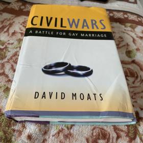 同性婚姻之战 Civil Wars a battle for gay marriage