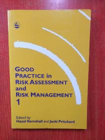 Good Practice in Risk Assessment and Management 1
