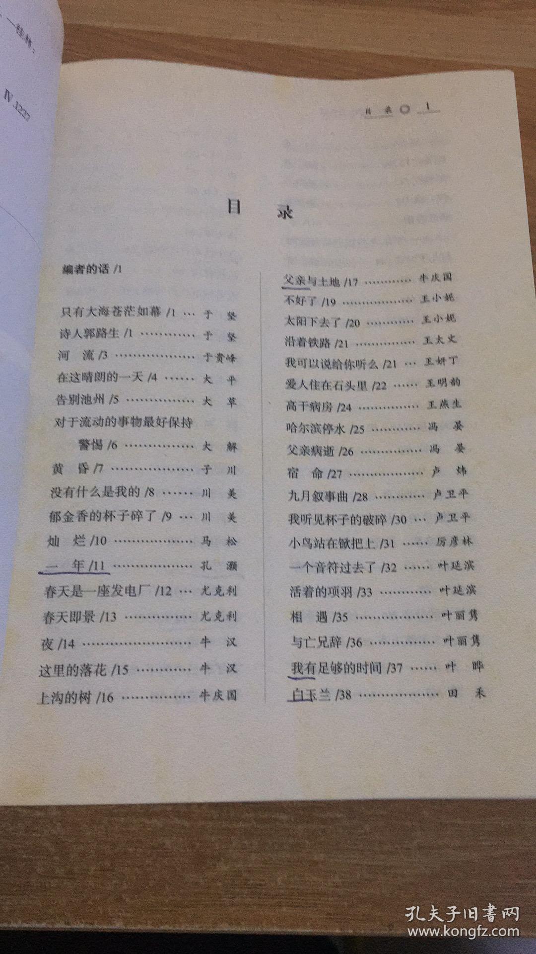 2006中国年度诗歌