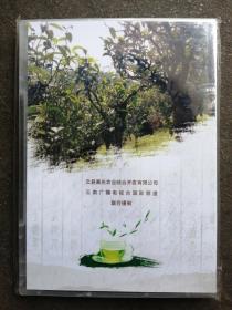 天下茶尊 云县茶韵：中国云县（首届）春茶博览会宣传片 DVD 1碟