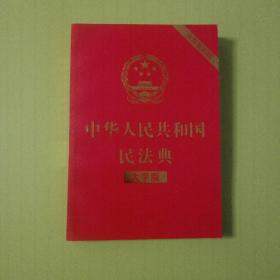 中华人民共和国民法典  大字版