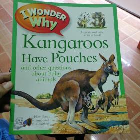 IWonderWhyKangaroosHavePouches为什么袋鼠身上长袋