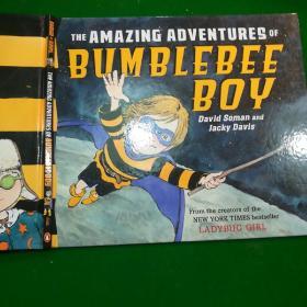 The Amazing Adventures of Bumblebee Boy 瓢虫女孩系列 9780803734180