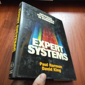 EXPERT SYSTEMS