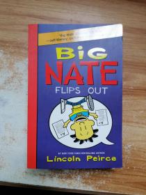 big nate flips out