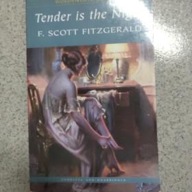 Tender is the Night(Wordsworth Children's Classics) 夜色温柔