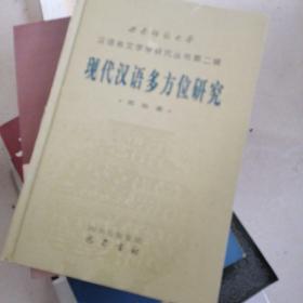 现代汉语多方位研究