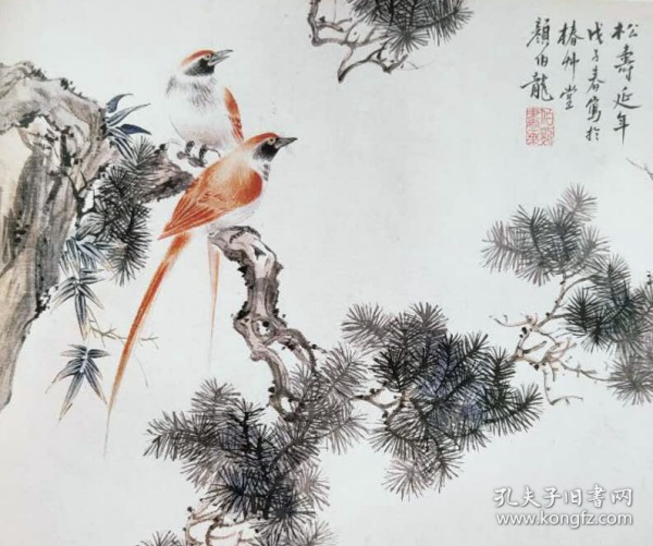 1403 颜伯龙 松寿延年 纸本印刷图片 画页 画芯尺寸18X22厘米