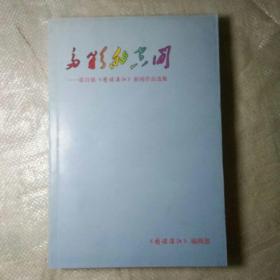 多彩的空间――霍自强《图读湛江》新闻作品选集