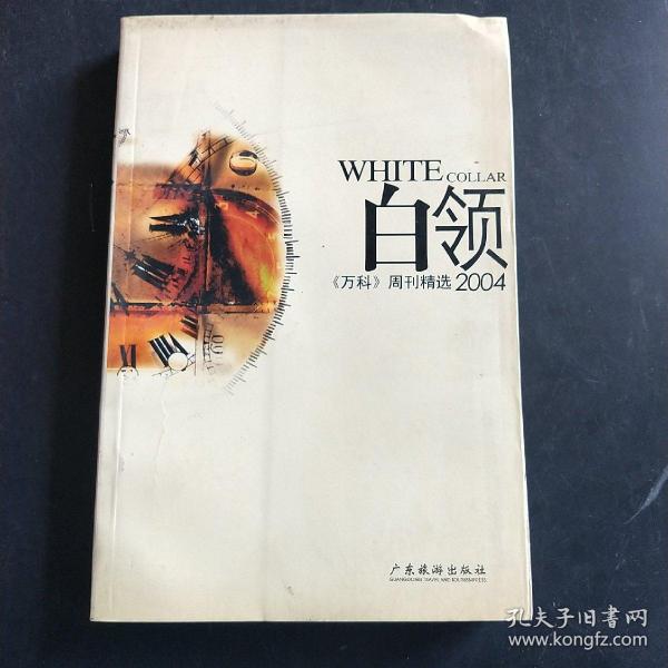 白领2004:《万科》周刊精选