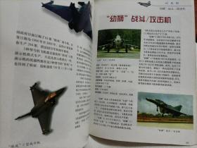 世界军事画册:战斗机