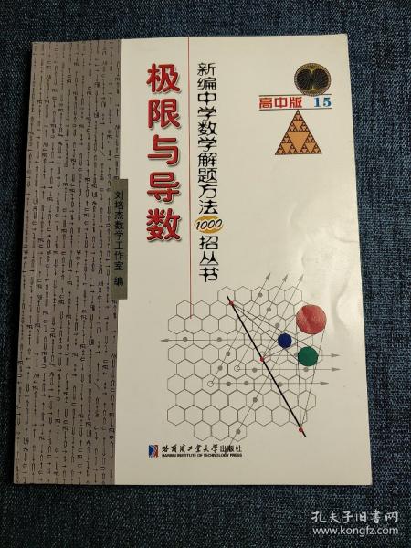 新编中学数学解题方法1000招丛书：极限与导数