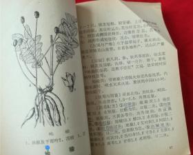 吉林省常见中药手册（多图，每种草药都配有配方。64开本。1969年一版一印，少封底，已补好，不缺页）A17