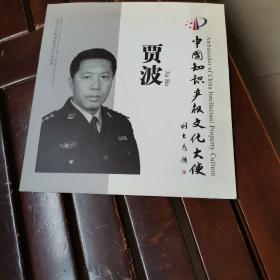 中国知识产权文化大使，贾波