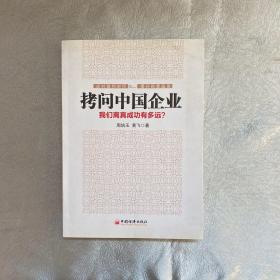 拷问中国企业 : 我们离真成功有多远？