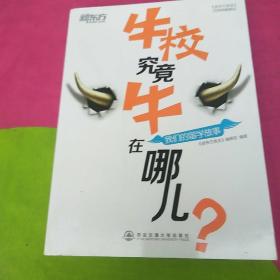 新东方·牛校究竟牛在哪儿？：我们的留学故事