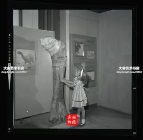 1940-1960年代外国博物馆中小女孩和恐龙腿骨对比原版照片底片一张, 商业摄影专业底片，不是私人家庭拍摄的。