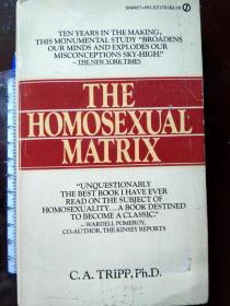 the homosexual matrix