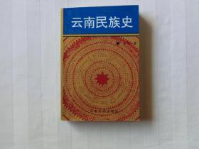 云南民族史