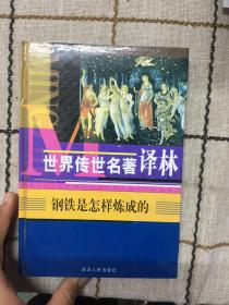 世界传世名著译林  钢铁是怎样炼成的